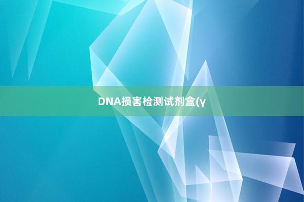 DNA损害检测试剂盒(γ