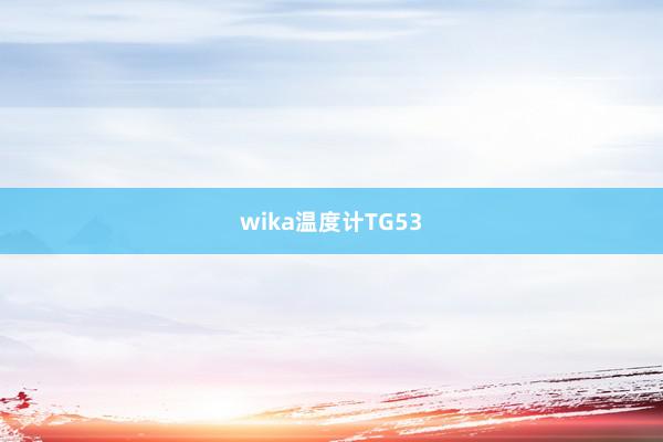 wika温度计TG53