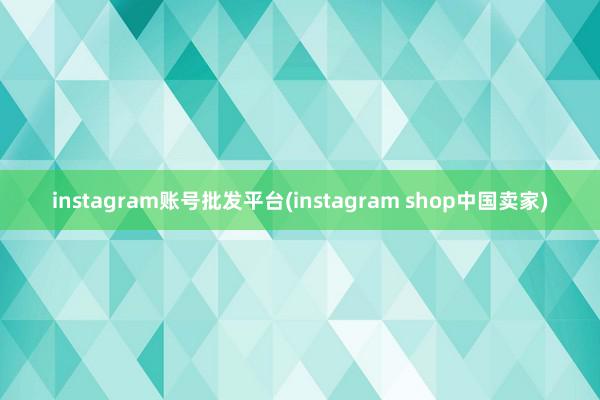 instagram账号批发平台(instagram shop中国卖家)