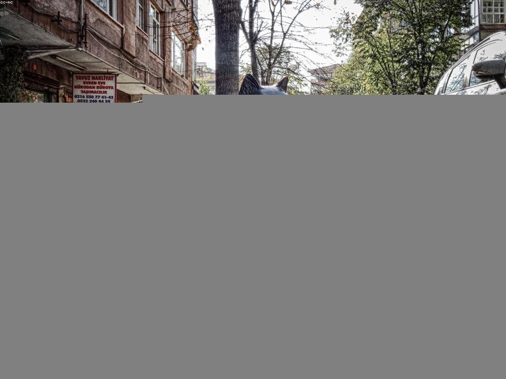 វិធីដូរប្រាក់យ៉ាងឆ្លាតវៃសម្រាប់អ្នកដំណើរ