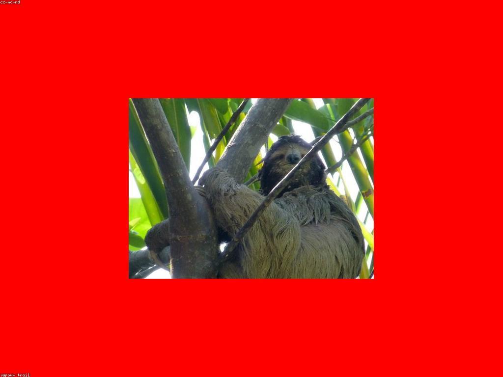 ចំណេះដឹងអំពីស្លុត