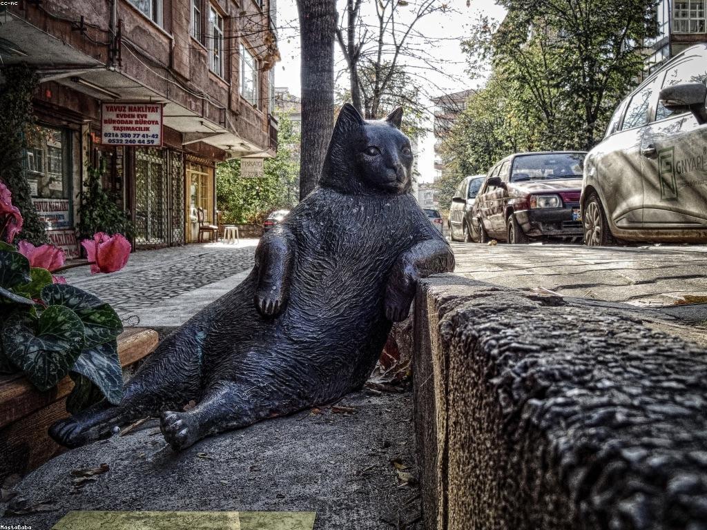 ចំណេះដឹងអំពីការប្រើប្រាស់ស្លុតក្នុងការតំឡើង