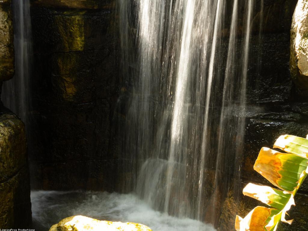 ការយល់ដឹងអំពីស្លុត: ស្ថានដែលរស់នៅ និងការប្រព្រឹត្តិ