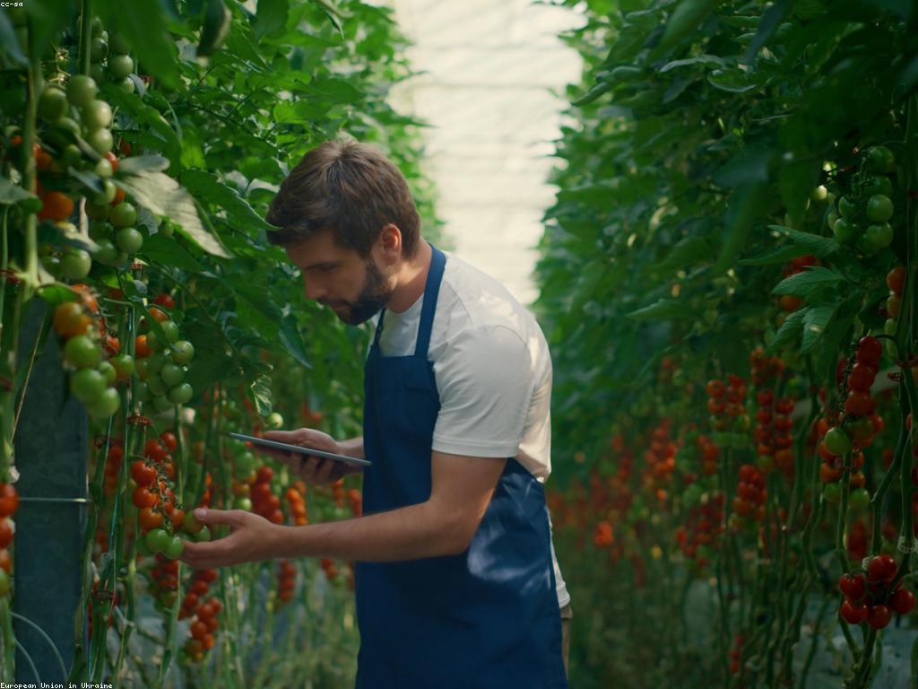 សារៈសំខាន់នៃកំណត់ហេតុគេហទំព័រ