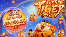  slotxo88 หน้าปก